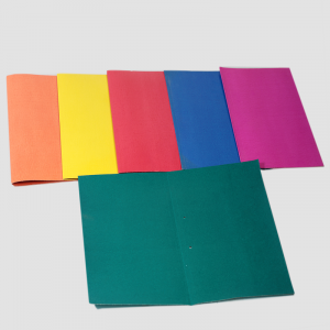 GLOBE FILE FOLDERS -BOARD -300GSM